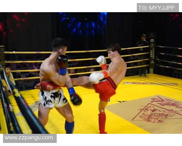 勇士主帅与球员开展心理健康训练应对赛季压力