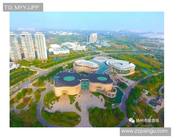 河南都市频道直播精彩纷呈让我们一起感受城市脉动与生活魅力